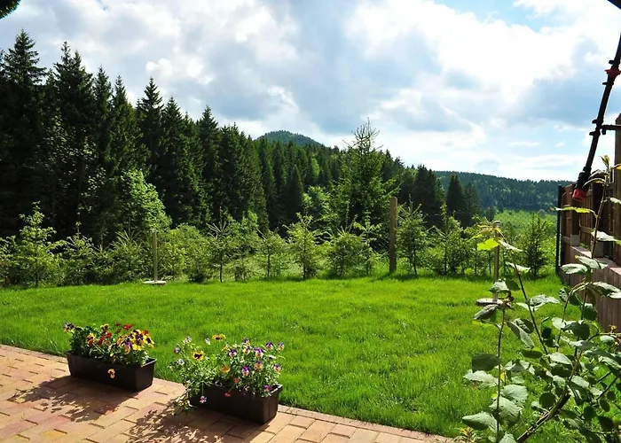 Hoher Stein Oberschonau